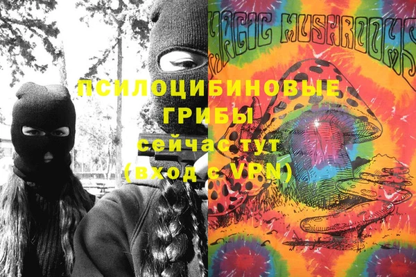 ECSTASY Алексин