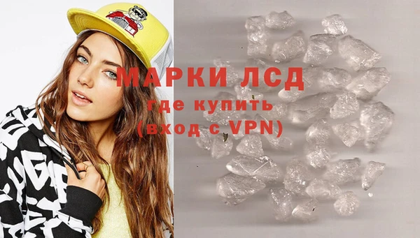 сатива Алзамай